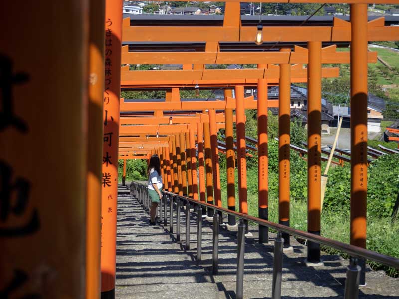 Guía viajar a Japón por libre