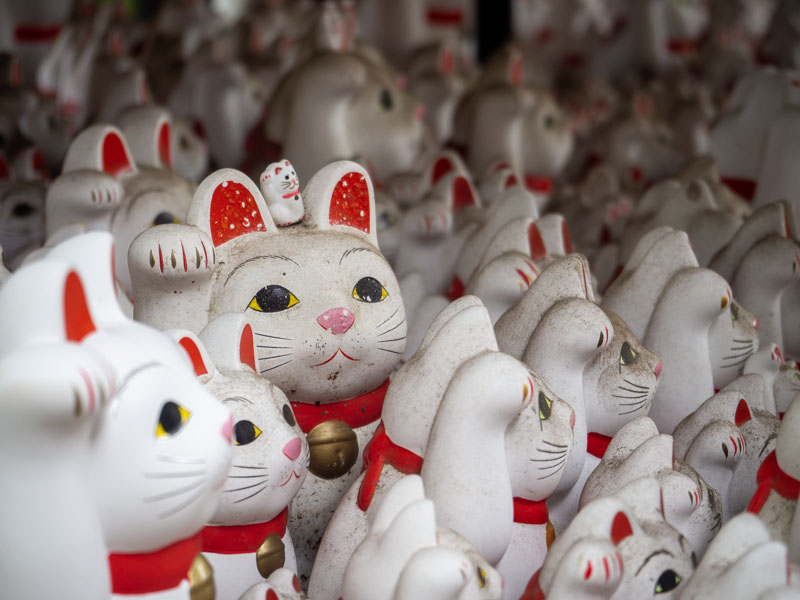 Templo gatos Tokio