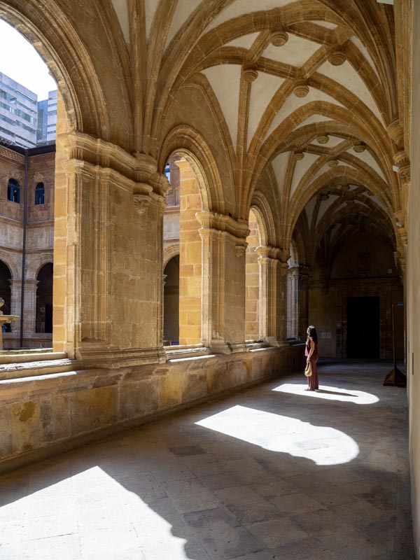 Museo Arqueológico de Asturias