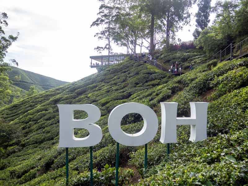 BOH Tea Centre, Cameron Highlands