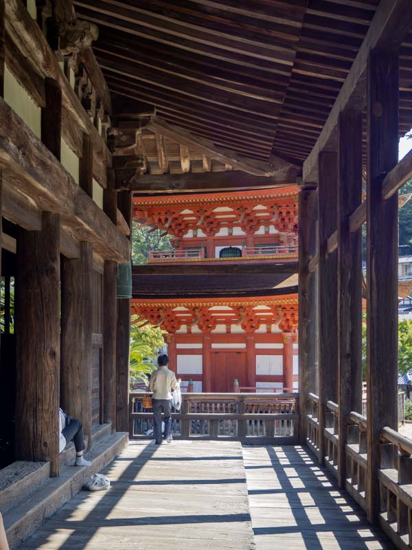 Ruta de Miyajima en un día