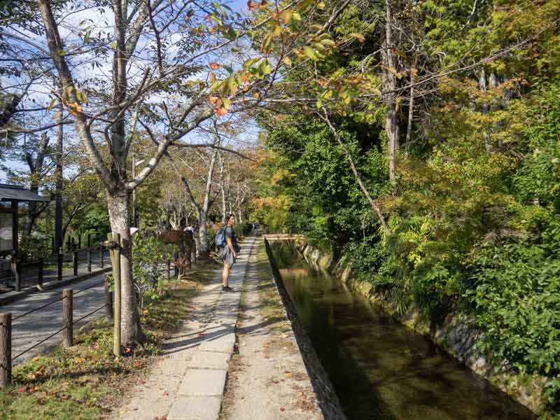Kioto en 3 días: Recorriendo el Paseo del Filósofo
