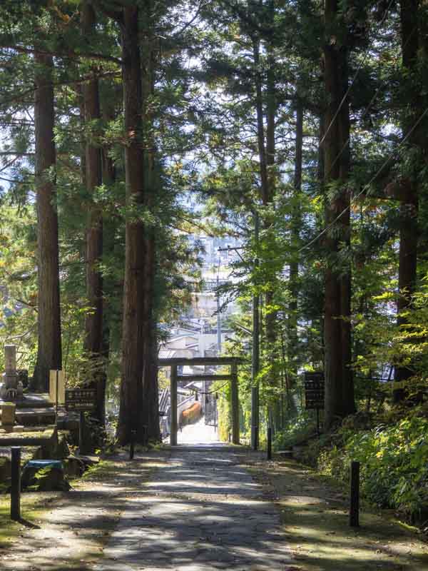 Senderos Takayama