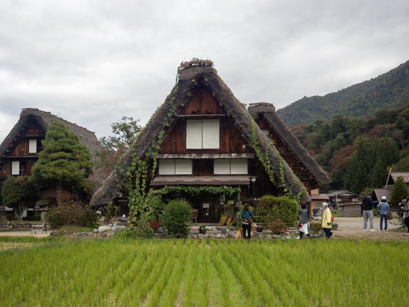 Japón Shirakawago