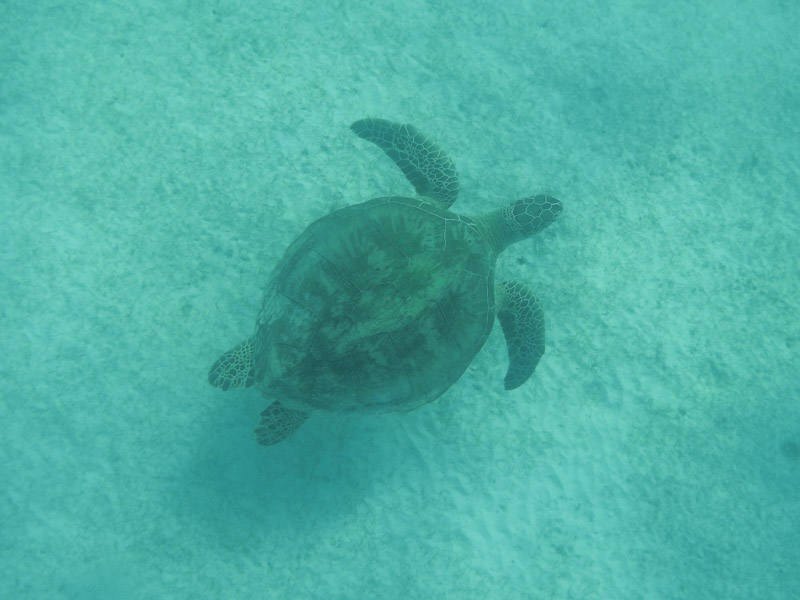 Perhentian Islands
