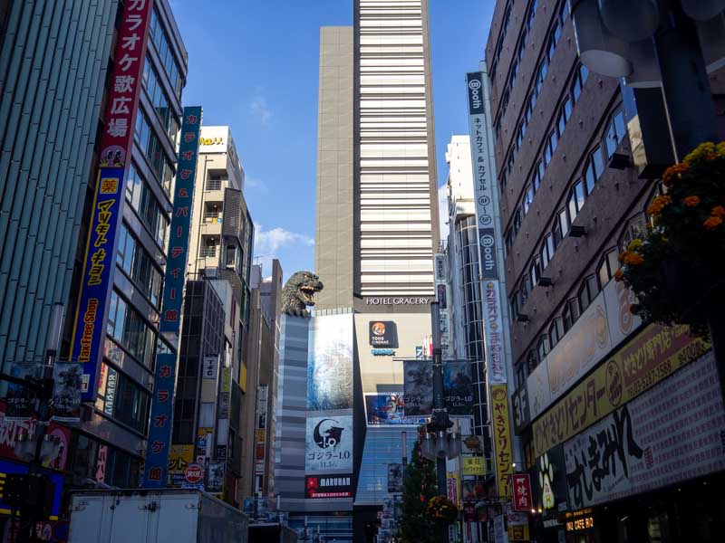 Godzilla Road