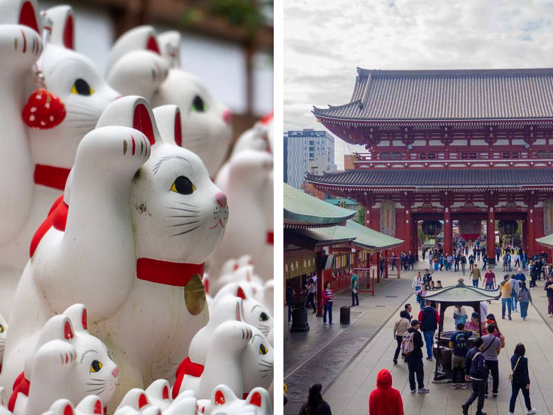 Japon 21 días: Tokio