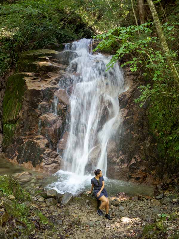 Medaki Fall
