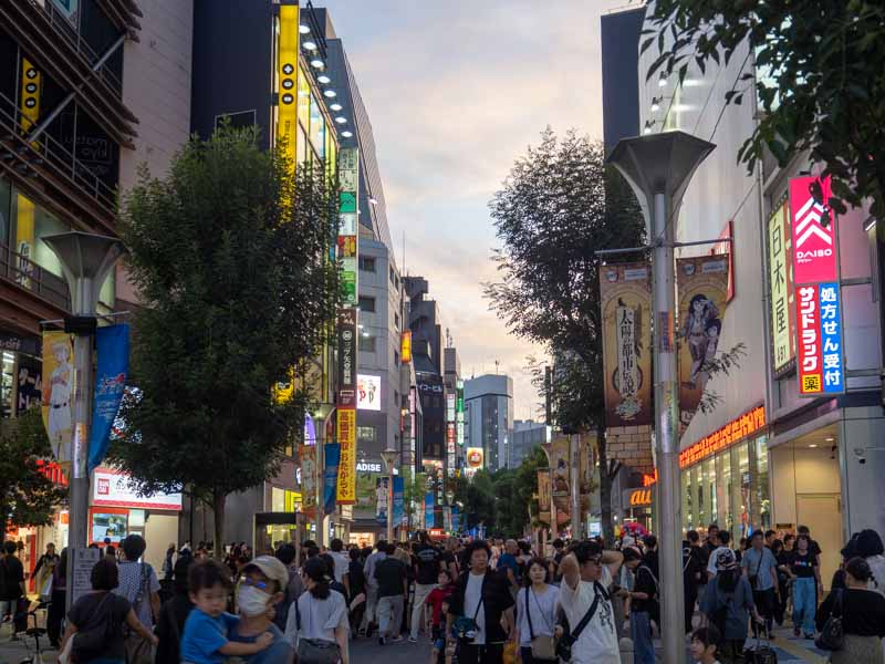 Las mejores cosas que ver en Tokio en 7 días