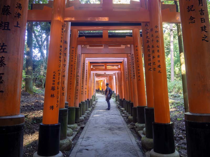 Fushimi Inari-taisha sin gente